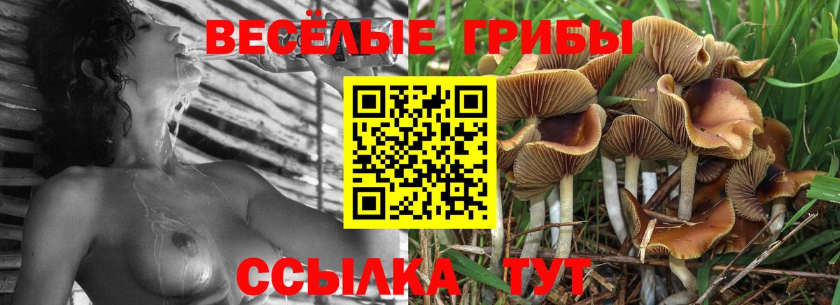 Галлюциногенные грибы мицелий Вольск