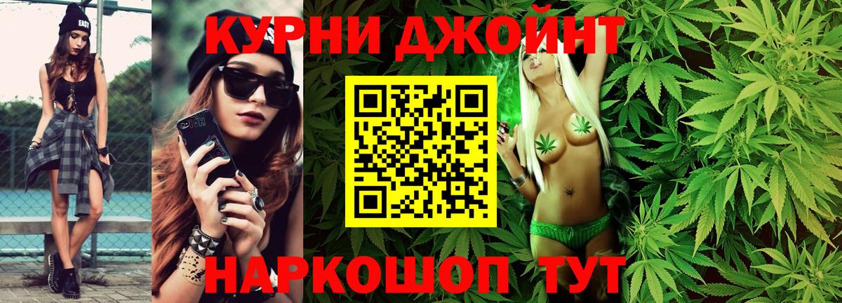 Каннабис план  МАРИХУАНА OG Kush  Вольск  Вход с VPN 